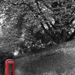 Telephone Box - black & white